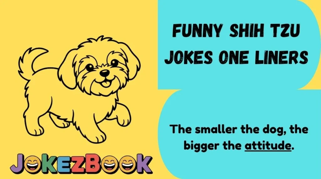 Funny Shih Tzu Jokes One Liners