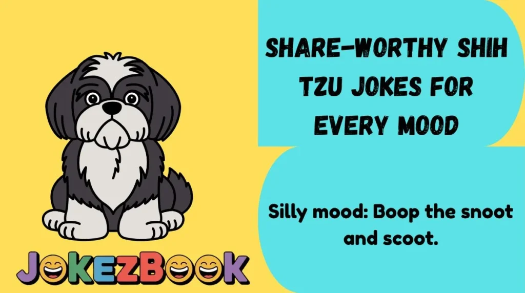 Share-Worthy Shih Tzu Jokes for Every Mood