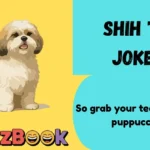 Shih Tzu Jokes