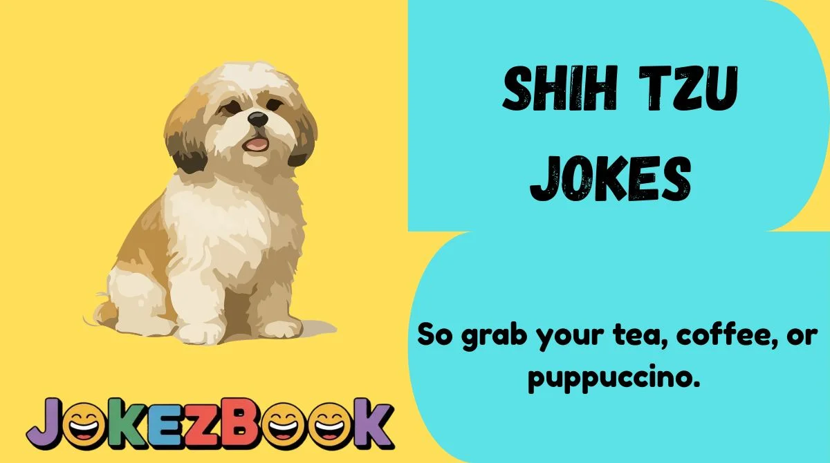 Shih Tzu Jokes