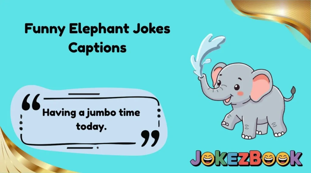 Funny Elephant Jokes Captions