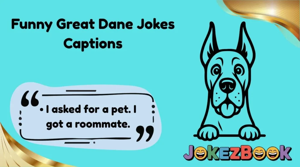 Funny Great Dane Jokes Captions